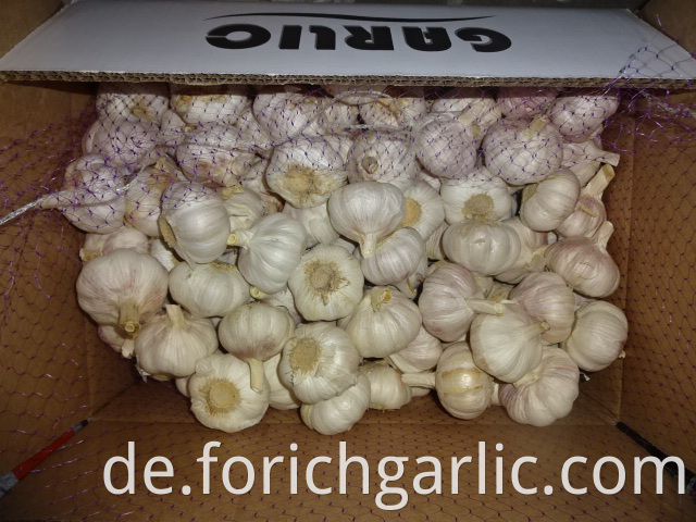 Normal White Garlic